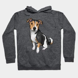 Cute Jack Russell Terrier Dog Hoodie